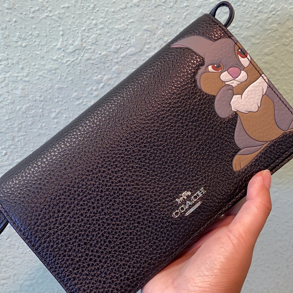 Coach Disney Crossbody Bag